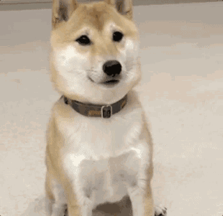 當(dāng)你說“避孕套不都一個樣”的時(shí)候…(圖15)